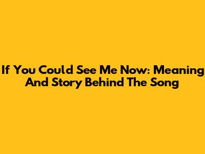 "If You Could See Me Now": Meaning And Story Behind The Song