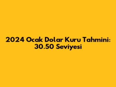 2024 Ocak Dolar Kuru Tahmini: 30.50 Seviyesi