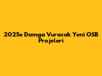 2025'e Damga Vuracak Yeni OSB Projeleri
