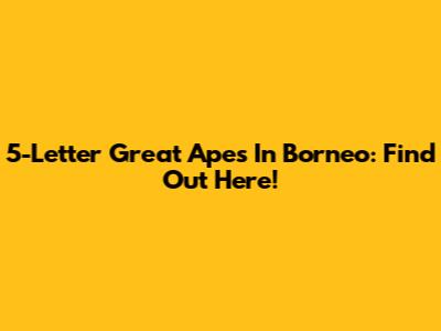 5-Letter Great Apes In Borneo: Find Out Here!