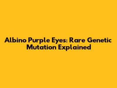 Albino Purple Eyes: Rare Genetic Mutation Explained
