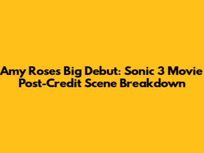 Amy Rose's Big Debut: Sonic 3 Movie Post-Credit Scene Breakdown