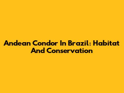 Andean Condor In Brazil: Habitat And Conservation
