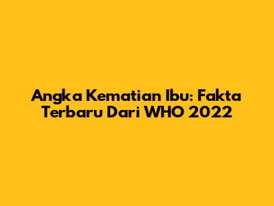 Angka Kematian Ibu: Fakta Terbaru Dari WHO 2022