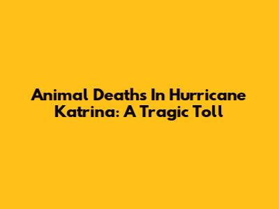 Animal Deaths In Hurricane Katrina: A Tragic Toll