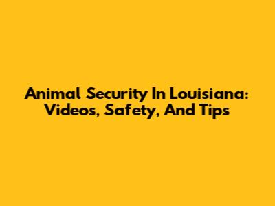 Animal Security In Louisiana: Videos, Safety, And Tips