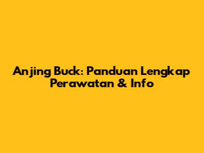 Anjing Buck: Panduan Lengkap Perawatan & Info