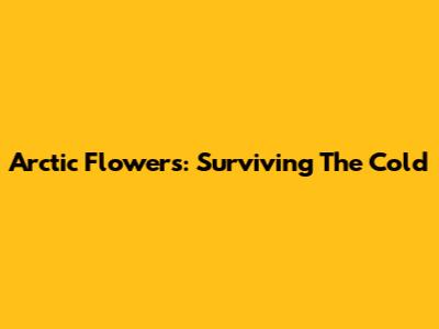 Arctic Flowers: Surviving The Cold
