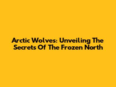 Arctic Wolves: Unveiling The Secrets Of The Frozen North