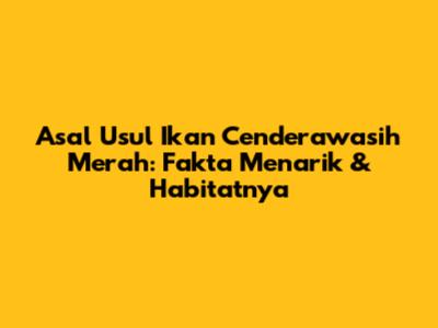 Asal Usul Ikan Cenderawasih Merah: Fakta Menarik & Habitatnya