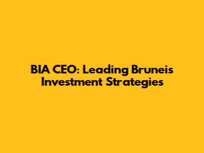 BIA CEO: Leading Brunei's Investment Strategies