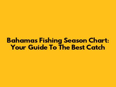 Bahamas Fishing Season Chart: Your Guide To The Best Catch