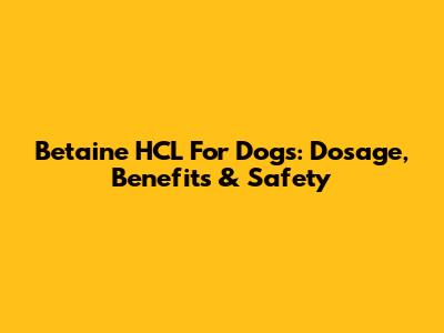 Betaine HCL For Dogs: Dosage, Benefits & Safety