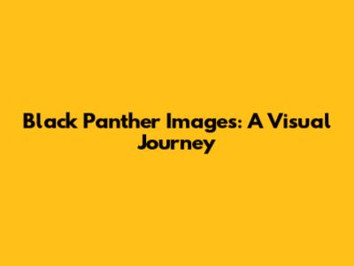 Black Panther Images: A Visual Journey