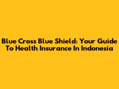 Blue Cross Blue Shield: Your Guide To Health Insurance In Indonesia