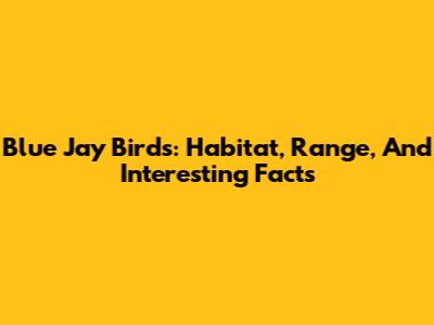 Blue Jay Birds: Habitat, Range, And Interesting Facts