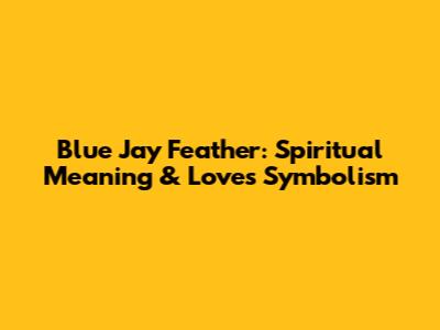 Blue Jay Feather: Spiritual Meaning & Love's Symbolism