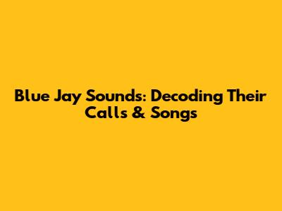 Blue Jay Sounds: Decoding Their Calls & Songs
