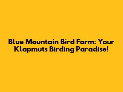 Blue Mountain Bird Farm: Your Klapmuts Birding Paradise!