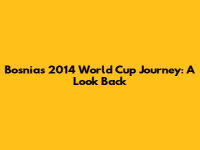 Bosnia's 2014 World Cup Journey: A Look Back