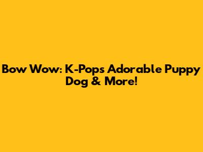 Bow Wow: K-Pop's Adorable Puppy Dog & More!