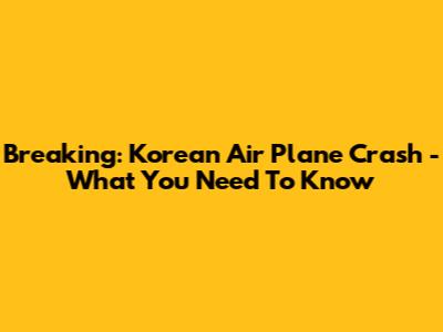 Breaking: Korean Air Plane Crash - What You Need To Know