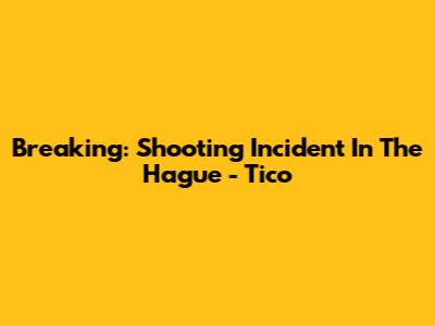 Breaking: Shooting Incident In The Hague - Tico