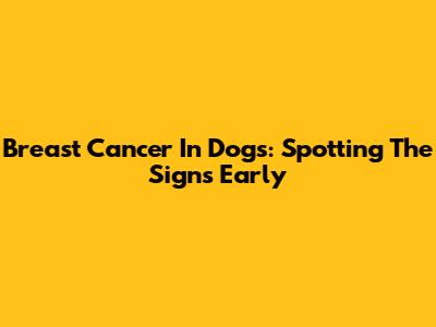 Breast Cancer In Dogs: Spotting The Signs Early