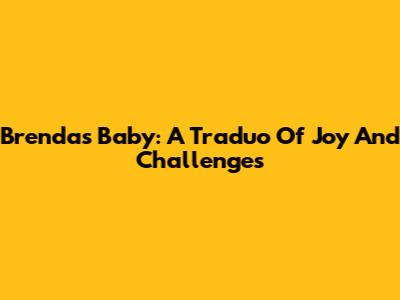 Brenda's Baby: A Traduo Of Joy And Challenges