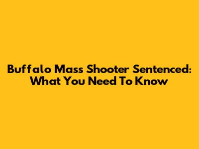 Buffalo Mass Shooter Sentenced: What You Need To Know