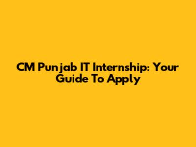 CM Punjab IT Internship: Your Guide To Apply