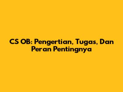 CS OB: Pengertian, Tugas, Dan Peran Pentingnya