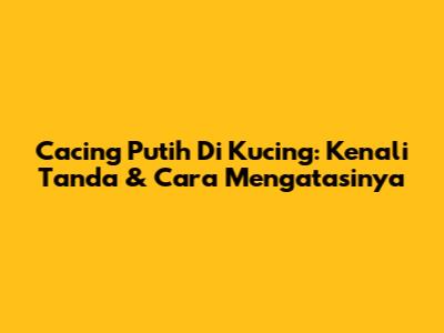 Cacing Putih Di Kucing: Kenali Tanda & Cara Mengatasinya