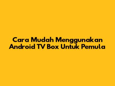 Cara Mudah Menggunakan Android TV Box Untuk Pemula