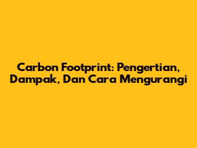 Carbon Footprint: Pengertian, Dampak, Dan Cara Mengurangi