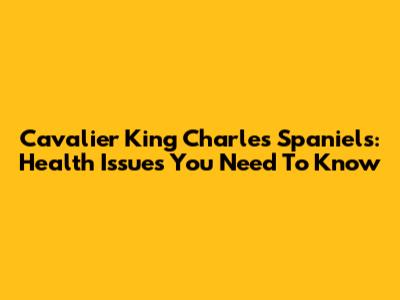 Cavalier King Charles Spaniels: Health Issues You Need To Know