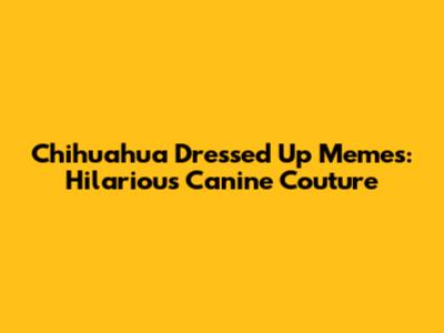 Chihuahua Dressed Up Memes: Hilarious Canine Couture