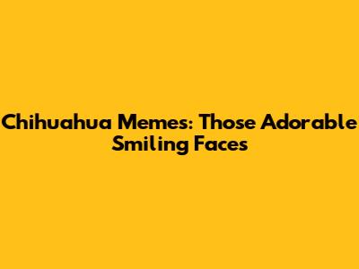 Chihuahua Memes: Those Adorable Smiling Faces