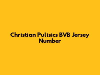 Christian Pulisic's BVB Jersey Number