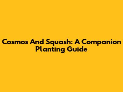 Cosmos And Squash: A Companion Planting Guide