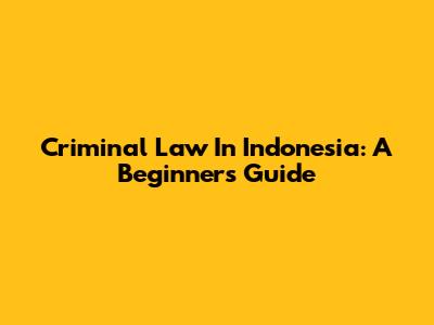 Criminal Law In Indonesia: A Beginner's Guide