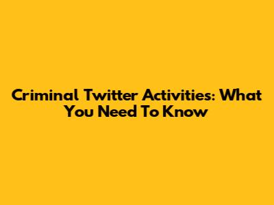 Criminal Twitter Activities: What You Need To Know