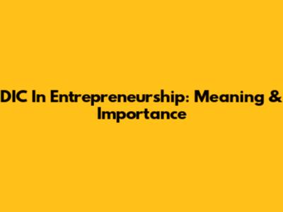 DIC In Entrepreneurship: Meaning & Importance