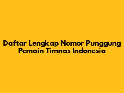 Daftar Lengkap Nomor Punggung Pemain Timnas Indonesia