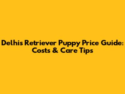 Delhi's Retriever Puppy Price Guide: Costs & Care Tips