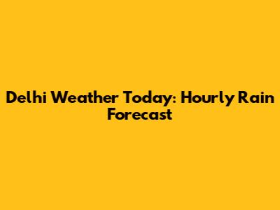 Delhi Weather Today: Hourly Rain Forecast
