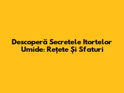 Descoperă Secretele Itortelor Umide: Rețete Și Sfaturi