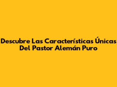 Descubre Las Características Únicas Del Pastor Alemán Puro