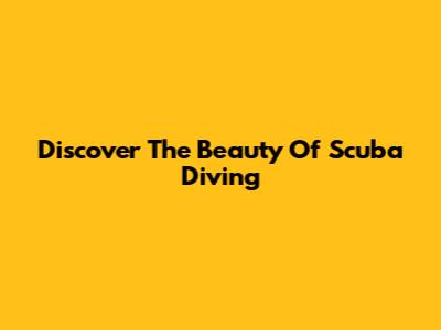 Discover The Beauty Of Scuba Diving