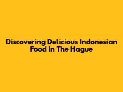 Discovering Delicious Indonesian Food In The Hague